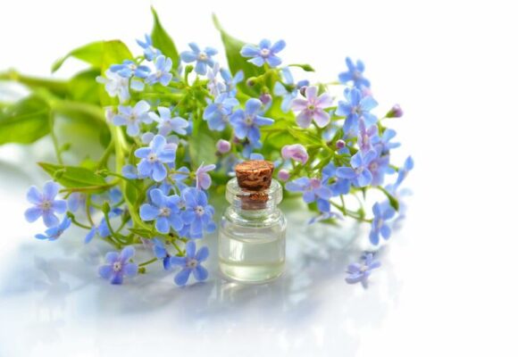 Fleurs de Bach pour enfants : sécuritaires et efficaces ?