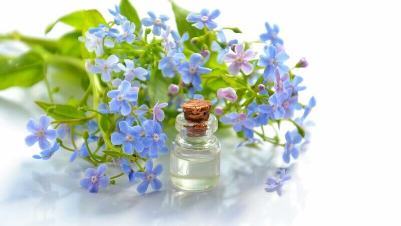 Fleurs de Bach pour enfants : sécuritaires et efficaces ?